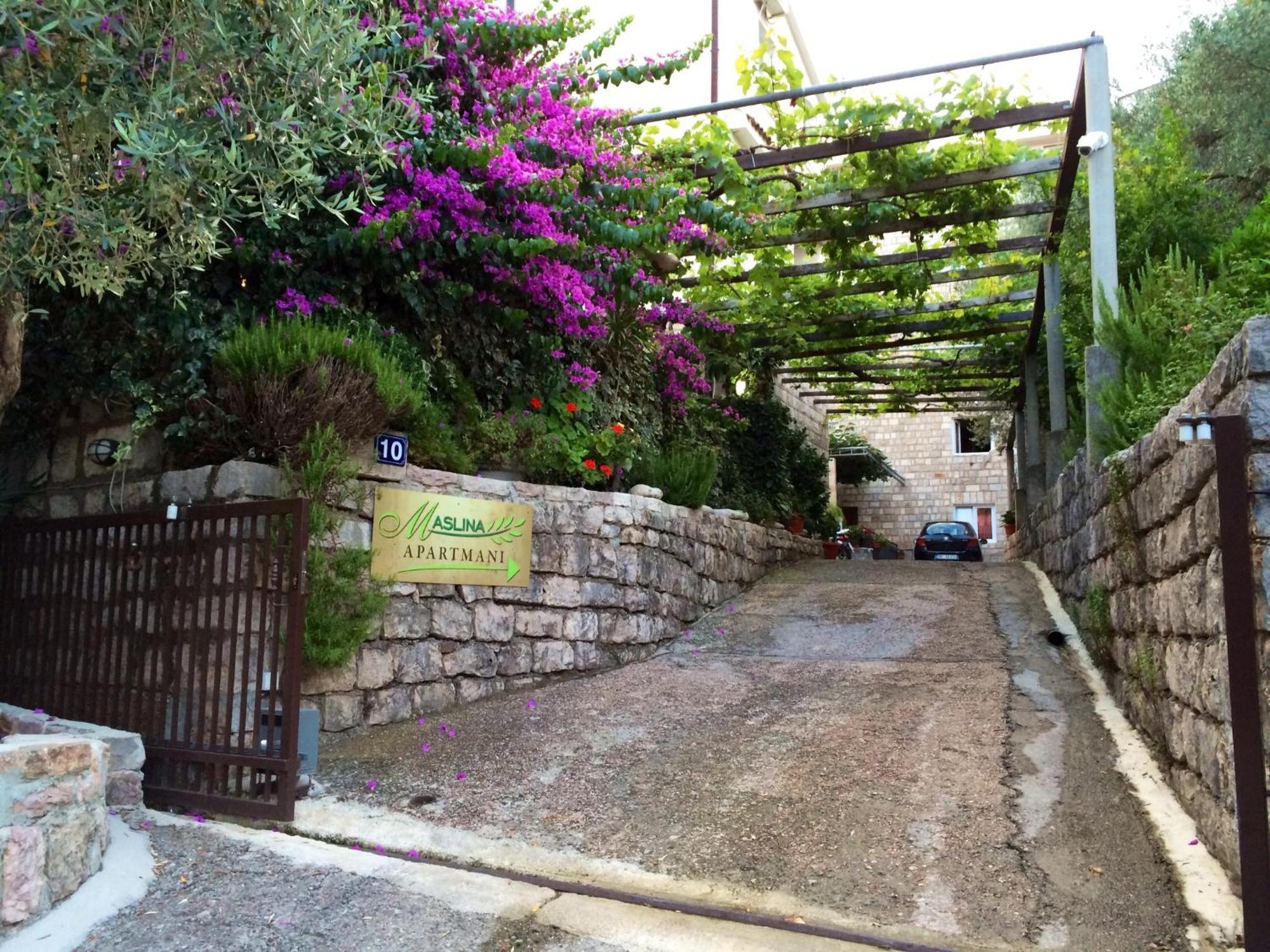 Guest House Maslina Petrovac Exterior photo